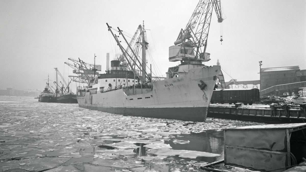 Drones Strike Two Ships Off Bulgaria's Black Sea Coast, One Sinks — 11 Sailors Missing as NATO Member Calls for Help