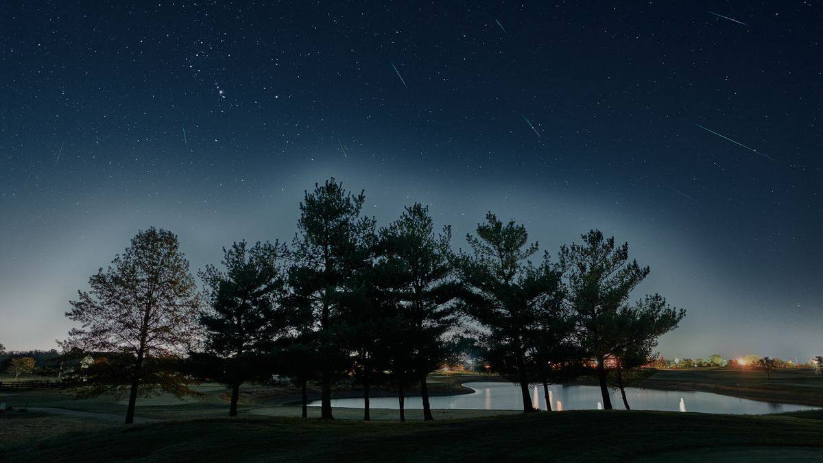 Composite image of Orionid meteors streaking across the night sky