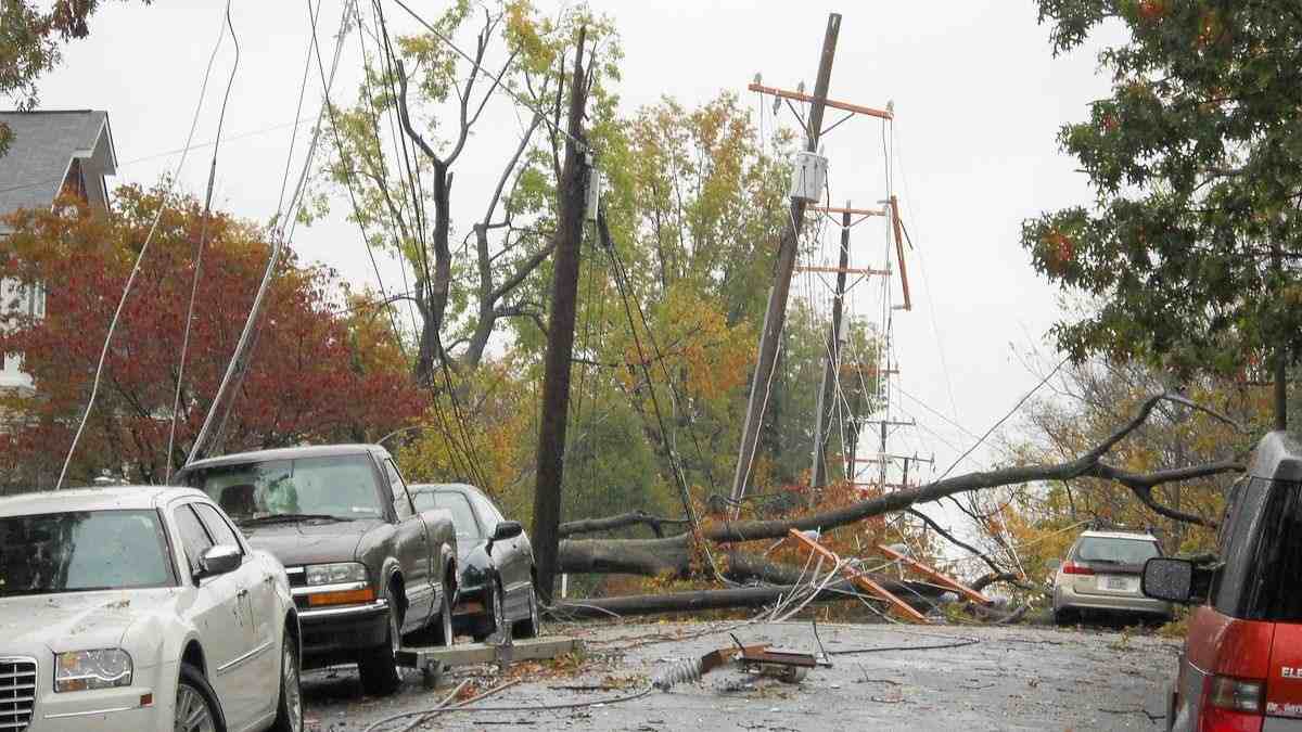 Downed power lines and fallen trees after a storm — representative image.